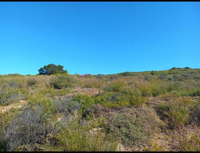 LAND FOR SALE IN SANDY POINT